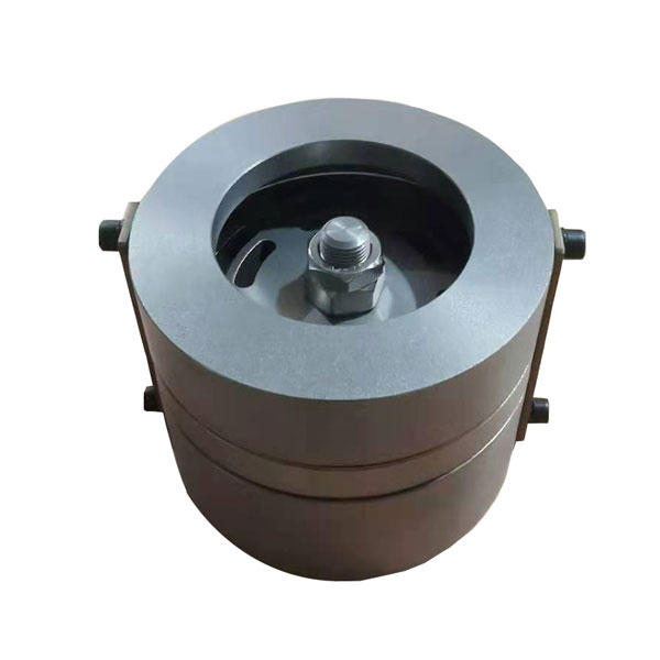 Check Valve